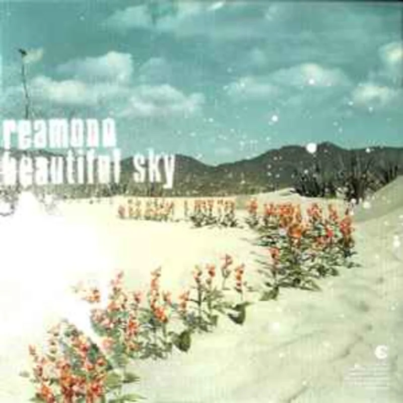 Reamonn  Beautiful Sky  (2003)     CD