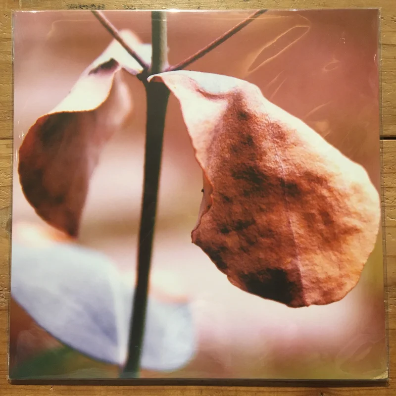 RIKI HIDAKA + JIM O' ROURKE + EIKO ISHIBASHI - (LP)
