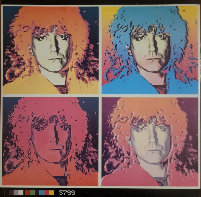 Robert Plant - Hurting Kind (I've Got My Eyes On You) 12" Single