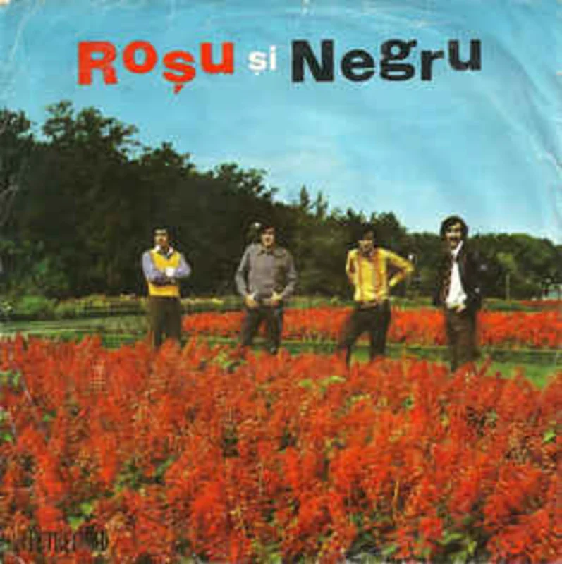 Rou i Negru*  Alfabetul / Hai Acas