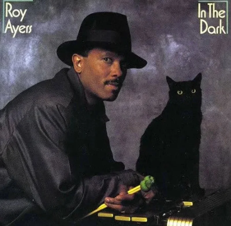 Roy Ayers - In The Dark