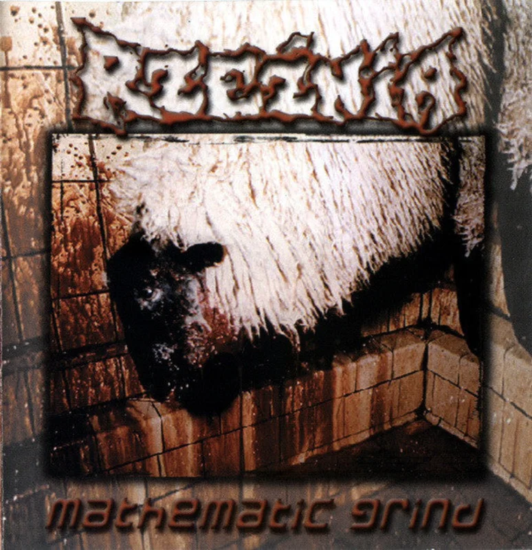 Rzeznia - Mathematic Grind USED CD