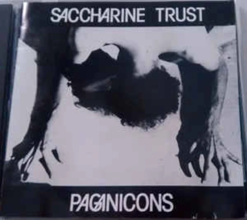 Saccharine Trust - Paganicons NEW CD