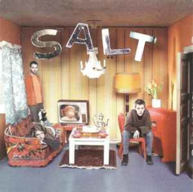 Salt  Auscultate  (1995)     CD
