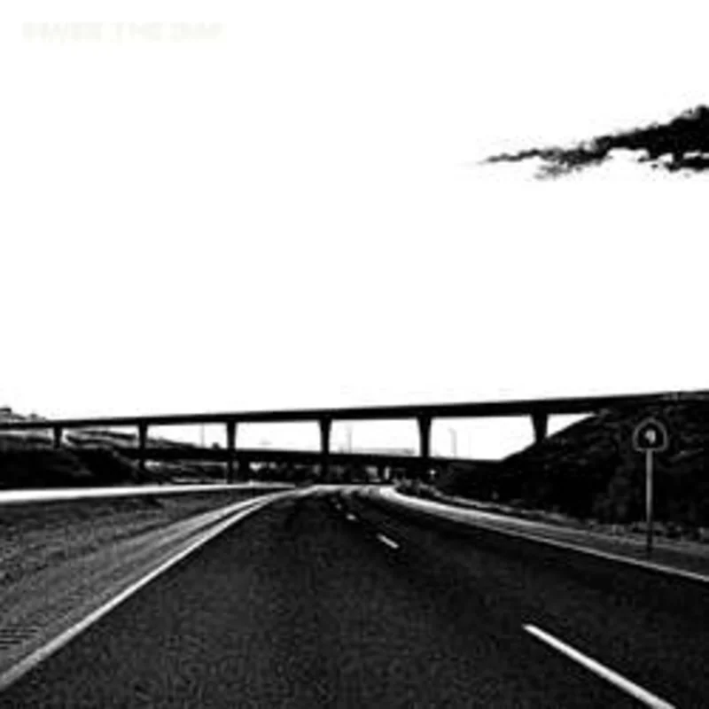 Saves The Day - 9 NEW LP