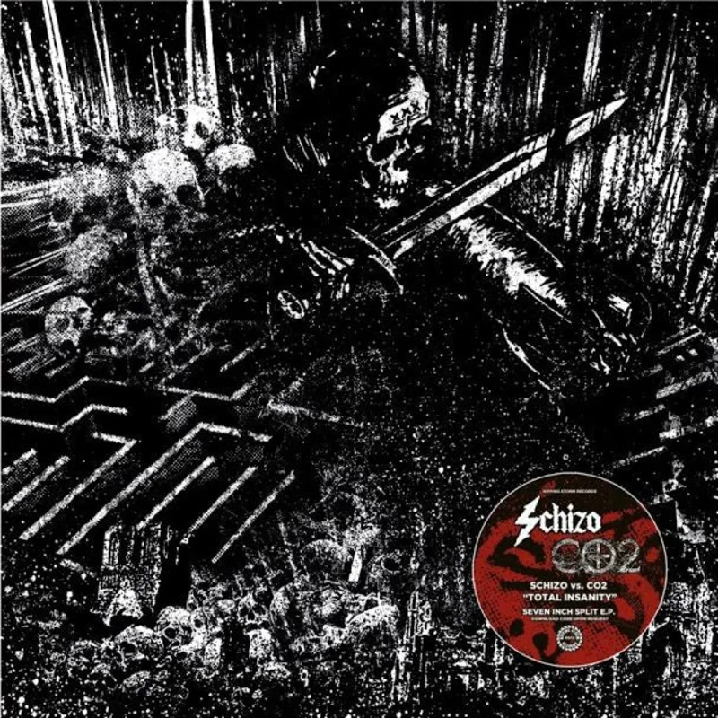 Schizo / Camera Obscura Two  - Split NEW METAL 7"