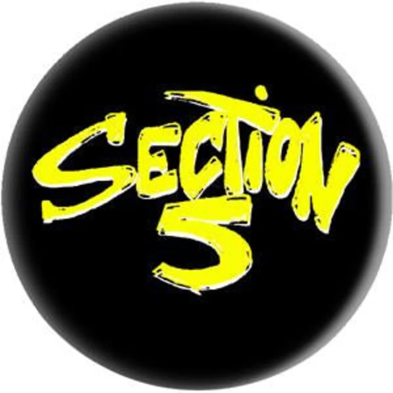 SECTION 5 button (1 inch)