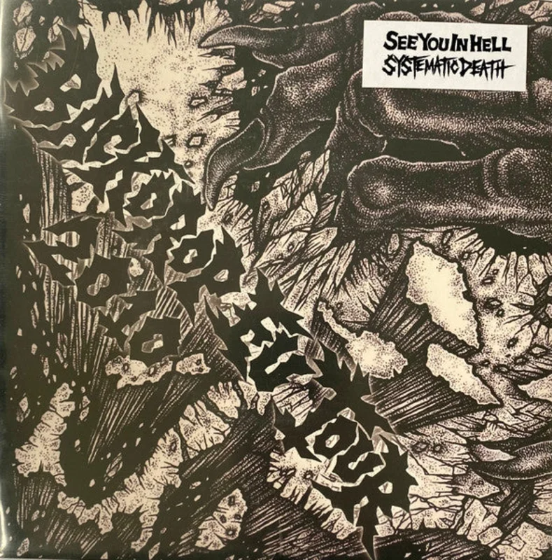 See You In Hell / Systematic Death - Backdrop EU Tour 2010 NEW 7"