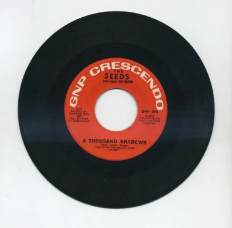 Seeds - A Thousand Shadows/ March Of The Flower Children