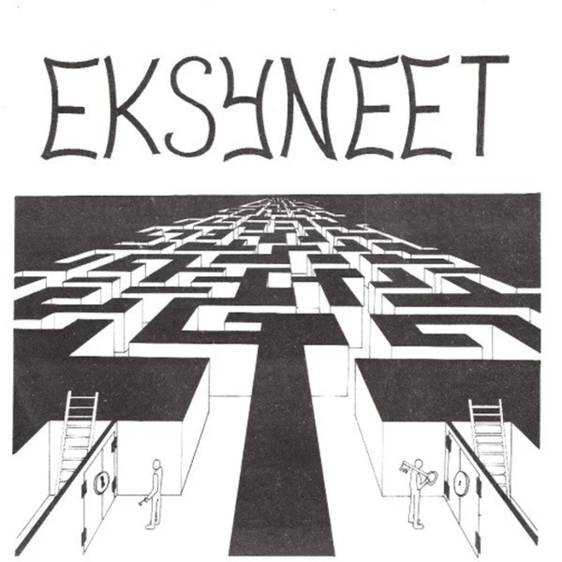 Sekaannus - Eksyneet USED 7"
