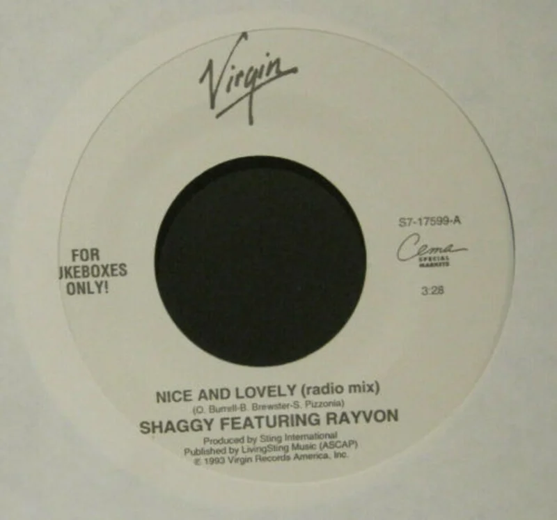 Shaggy - Nice and Lovely b/w Victoria's Secret