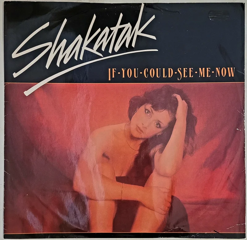 Shakatak - If You Could See Me Now 12" Single