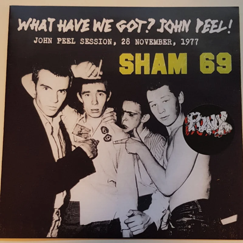 Sham 69 - What Have We Got? John Peel! NEW 7"