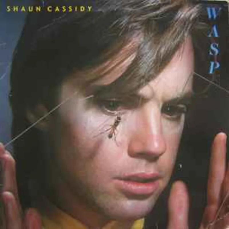 Shaun Cassidy  Wasp  (1980)