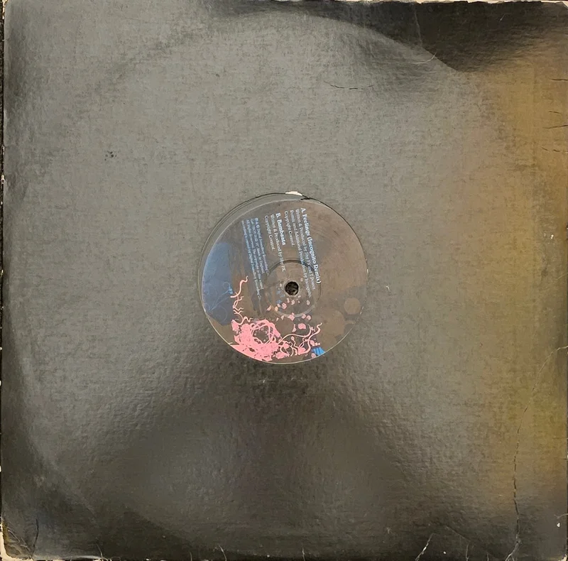 Shy FX & T Power  Feelings (Incognito Remix) 12" Single