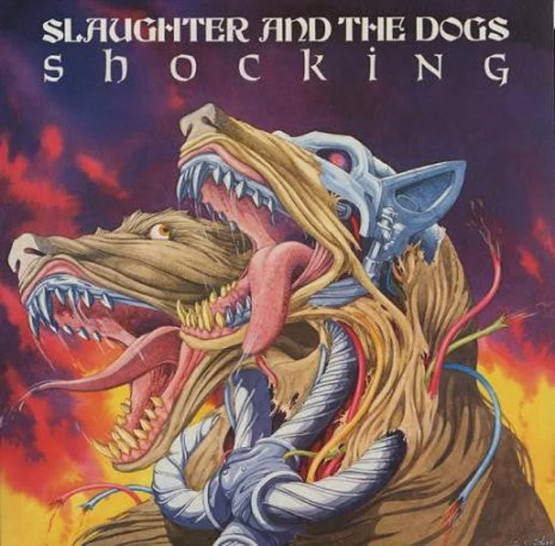 Slaughter And The Dogs - Shocking USED LP