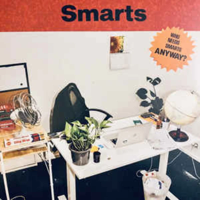 Smarts - Who Needs Smarts, Anyway? NEW LP