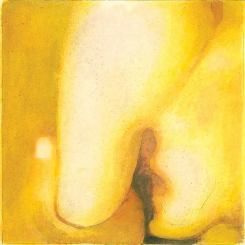Smashing Pumpkins - Pisces Iscariot - 2 LPs on 180g vinyl