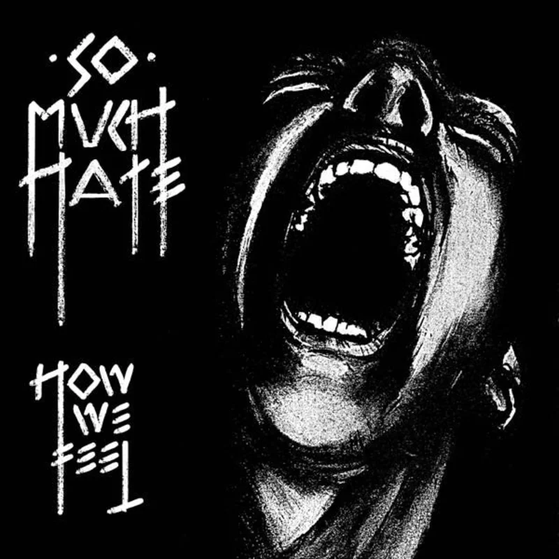 So Much Hate - How We Feel NEW LP