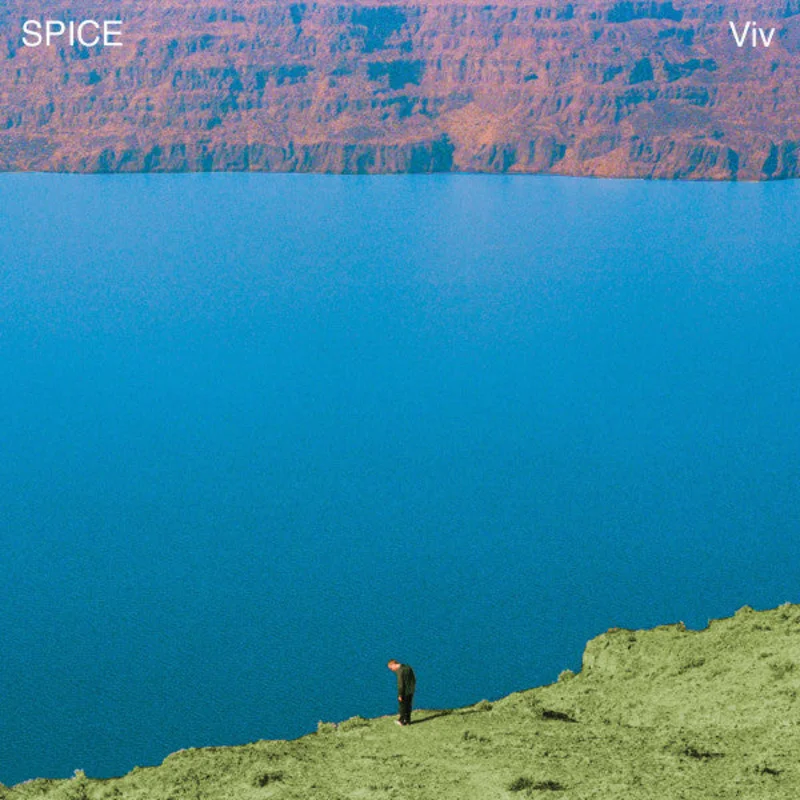 Spice - Viv NEW LP