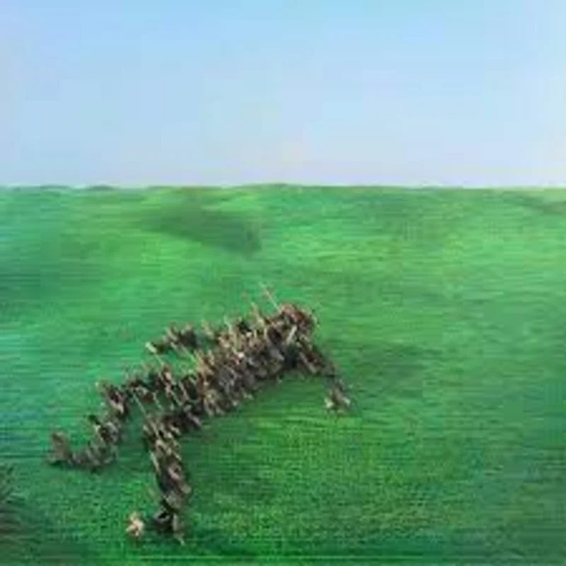 Squid - Bright Green Field Lp