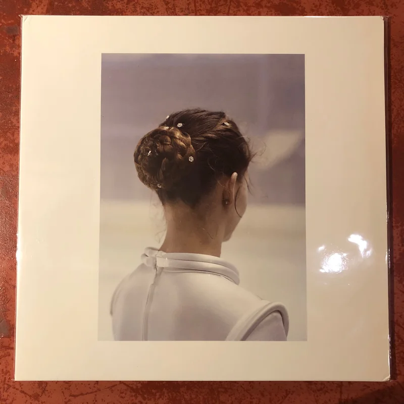 Stephen O'Malleyternelle Idole(LP)