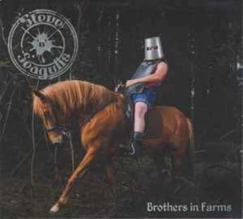 Steve'n'Seagulls  Brothers In Farms  (2016)     CD