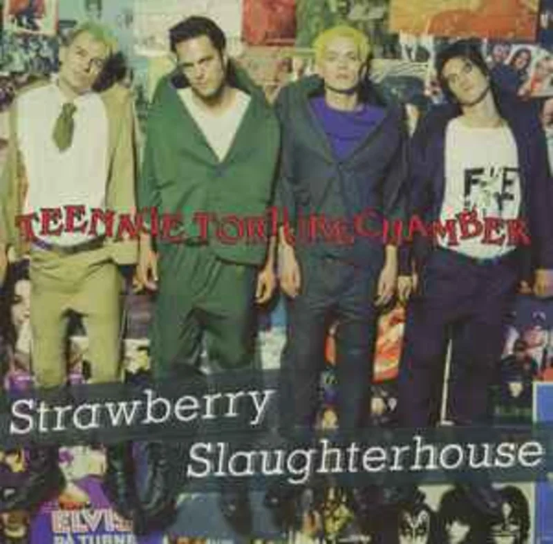 Strawberry Slaughterhouse  Teenage Torturechamber  (1994)     CD