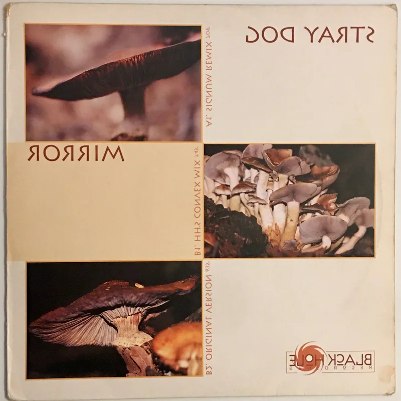 Stray Dog - Mirror 12" Single