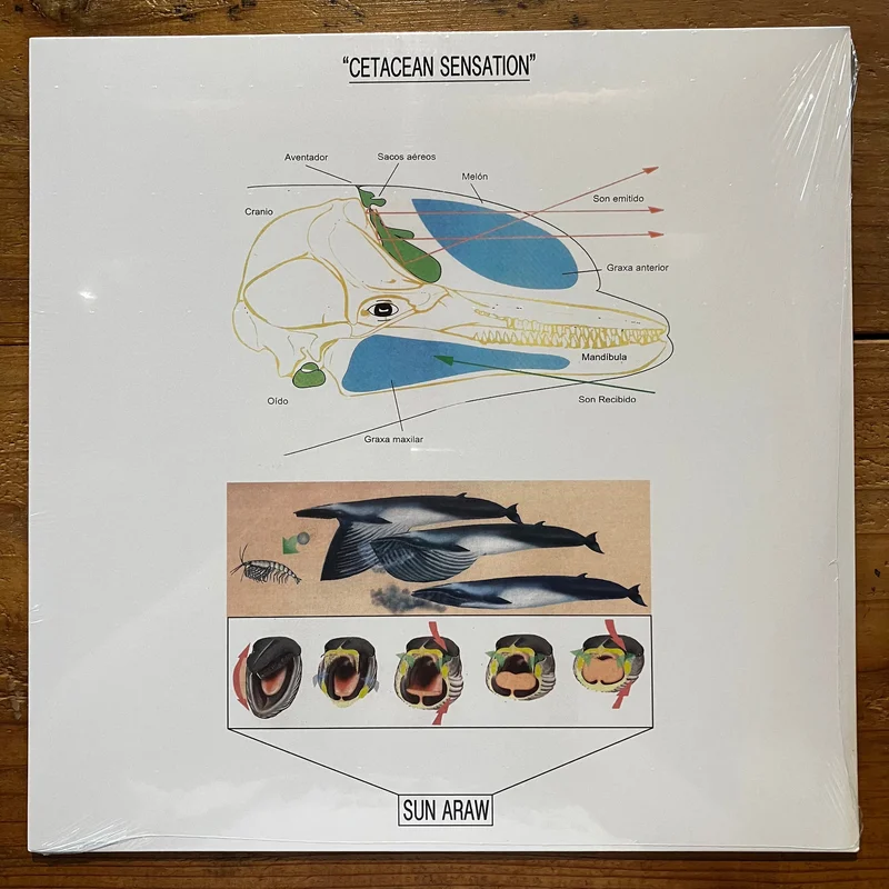Sun Araw - Cetacean Sensation (LP)