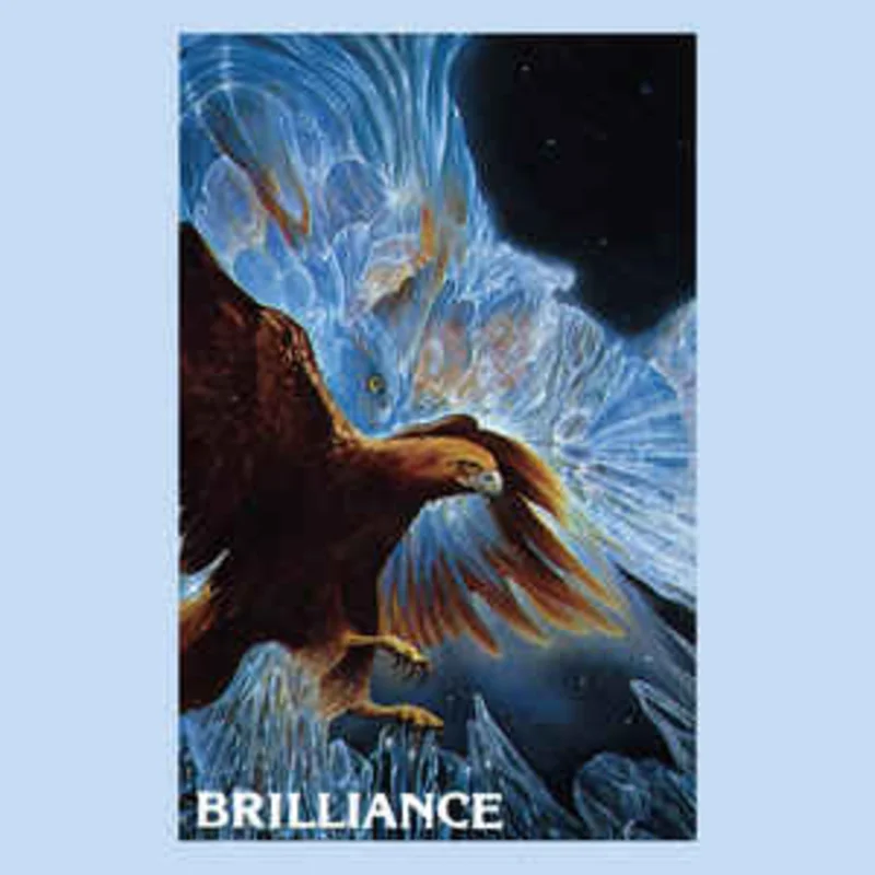 Suzanne Doucet & William Wichman - Brilliance NEW POST PUNK / GOTH LP