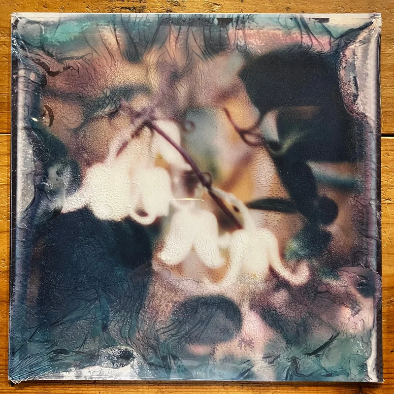 Svitlana Nianio & Tom James Scott - Eye of the Sea (LP)