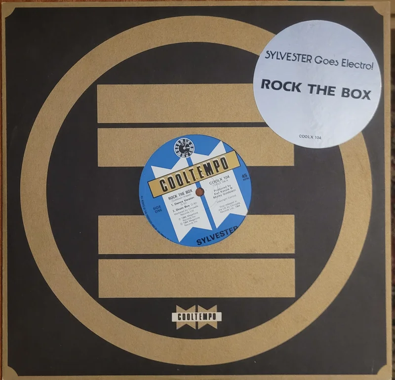 Sylvester - Rock The Box 12" Single
