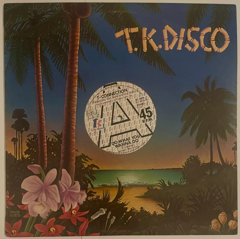 T-Connection - Do What You Wanna Do 12" Single