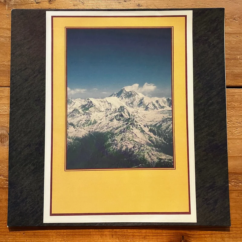 Taming Power - Twenty-One Pieces (2LP)