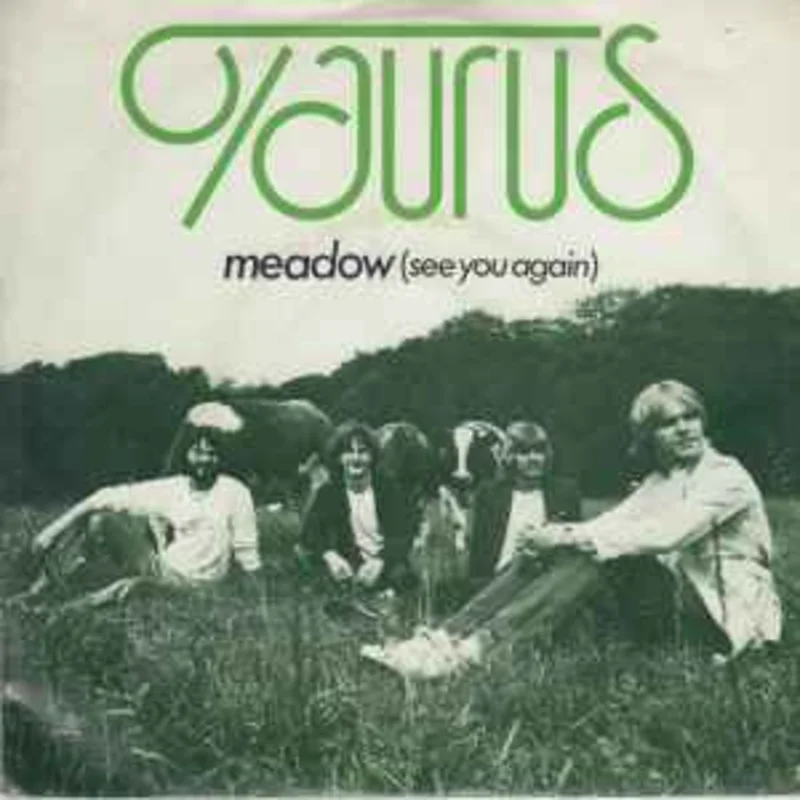 Taurus (7)  Meadow (See You Again)  (1980)     7"