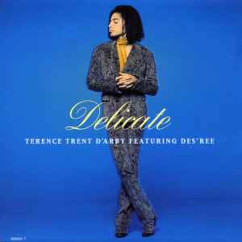 Terence Trent D'Arby Featuring Des'ree  Delicate  (1993)     7"