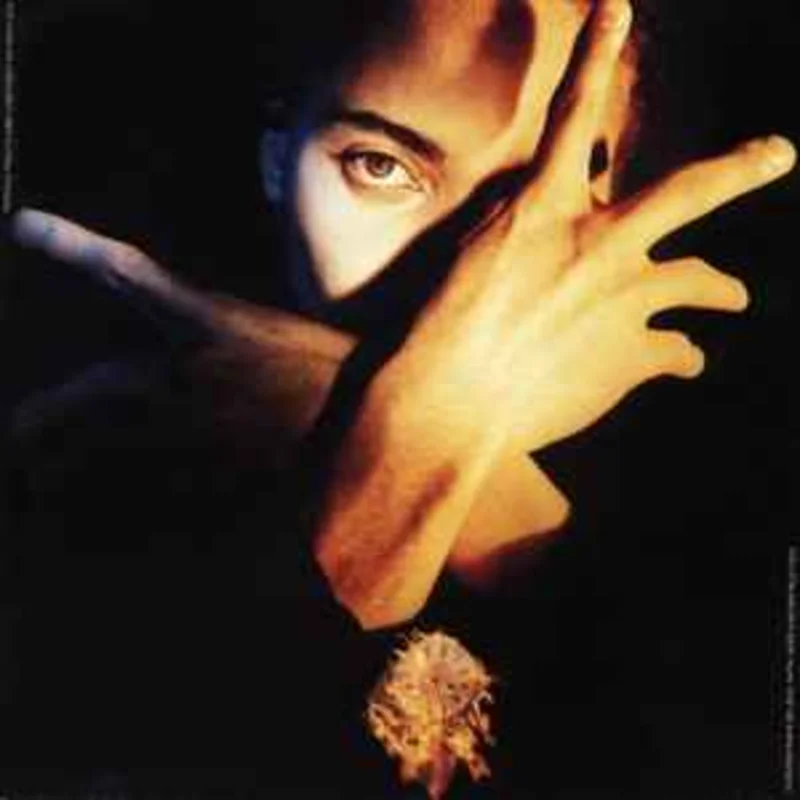 Terence Trent D'Arby  Terence Trent D'Arby's Neither Fish Nor Flesh: A Soundtrack Of Love, Faith, Hope, And Destruction  (1989)     CD