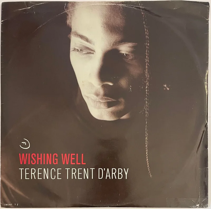 Terence Trent D'Arby - Wishing Well 12" Single