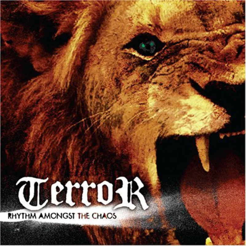 Terror - Rhythm Amongst The Chaos NEW CD