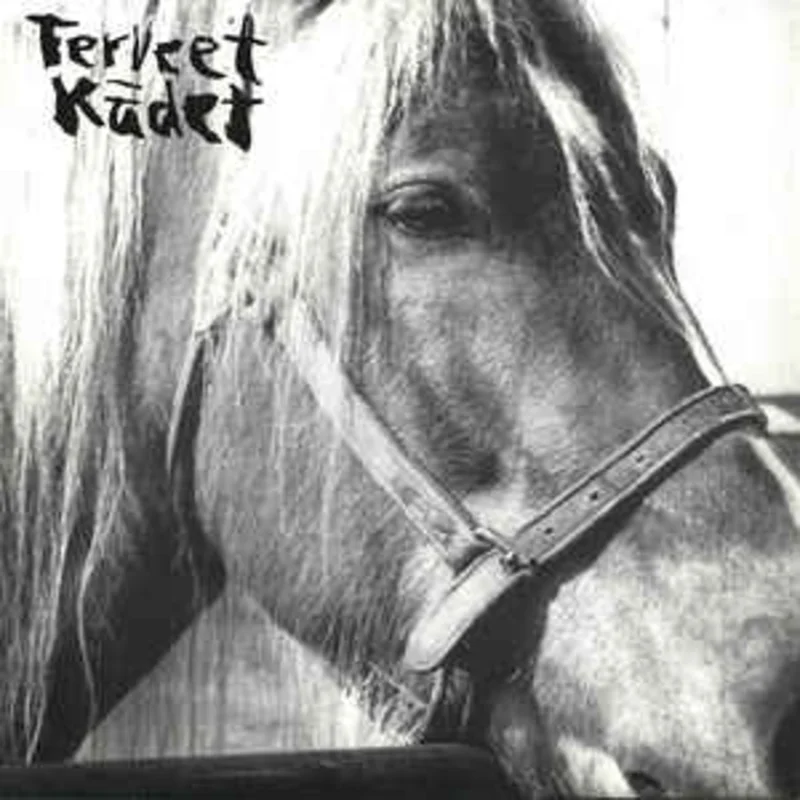 Terveet Kadet - The Horse USED 7"