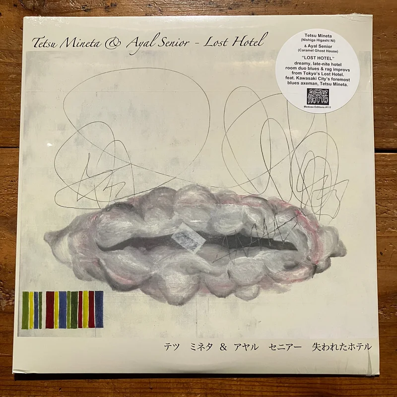 Tetsu Mineta & Ayal Senior  Lost Hotel (LP)