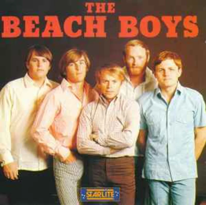 The Beach Boys  The Beach Boys  (1988)     CD