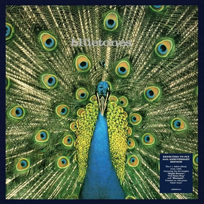 The Bluetones - Expecting To Fly Lp