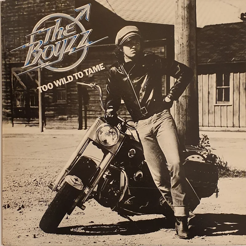 The Boyzz - Too Wild To Tame Lp