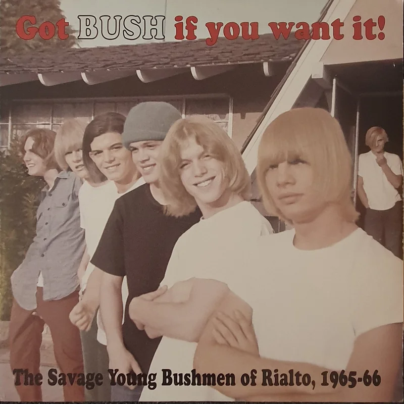The Bush - Got Bush If You Want It! Lp