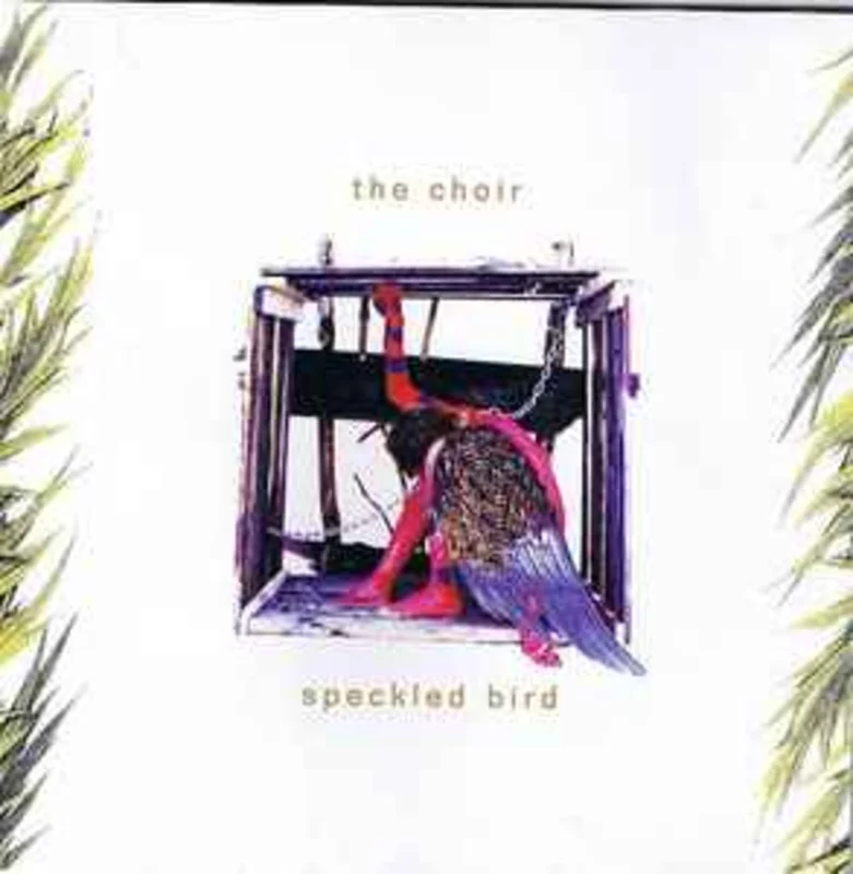 The Choir  Speckled Bird  (1994)     CD