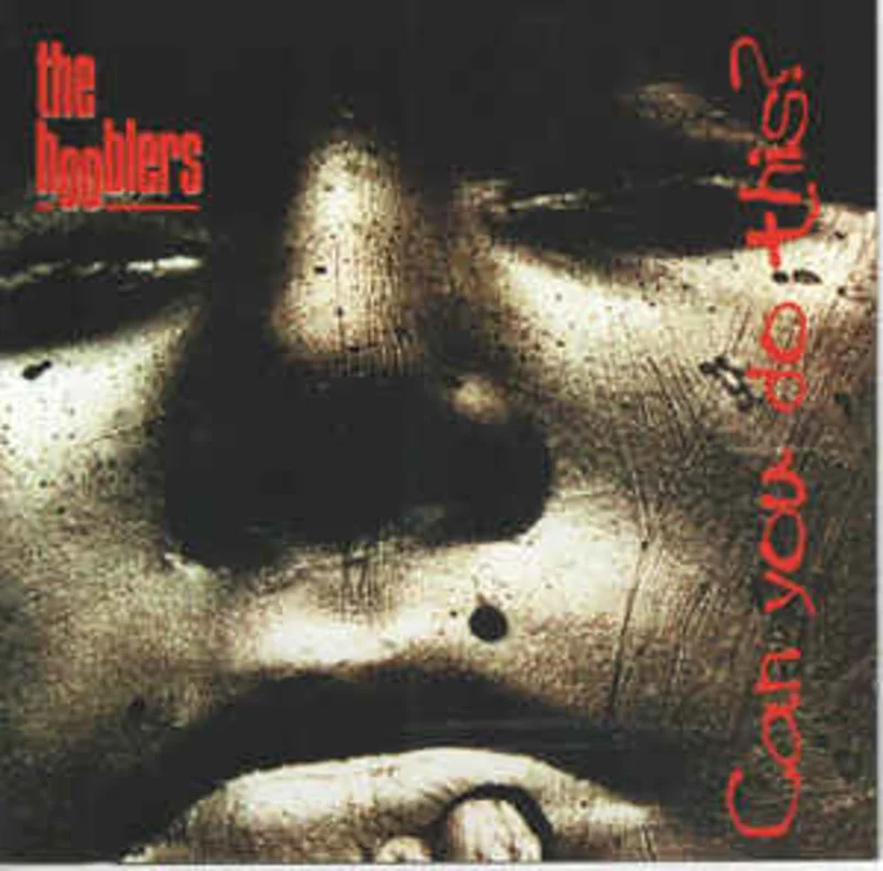The Hooblers  Can You Do This?  (1997)
