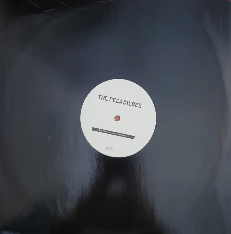 The Pecadiloes - The Wanting Song 12" Single (Promo)