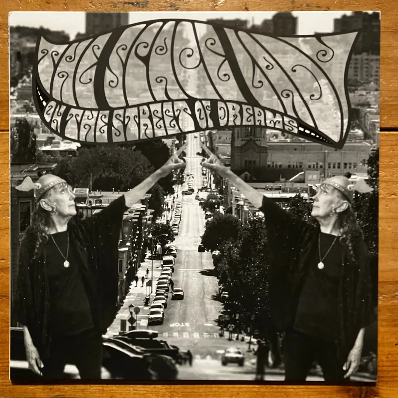 The Space Lady  On The Street Of Dreams (LP)